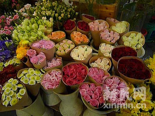 上海鲜花市场受云南干旱影响要集中在玫瑰,售价上浮50%左右.