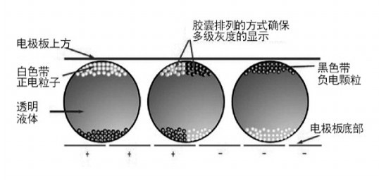 鱼筌的原理_模型图   建造过程   竹编艺术装置   向邵族长老学习制作鱼筌(放置于河流中捕鱼的(2)