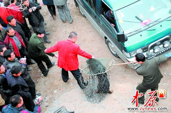 市民报警后,特巡警,派出所民警,执法人员等部门,因捉狗工具不到位