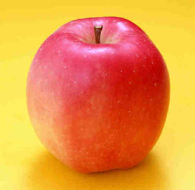 每天1个苹果 少得肠癌(图)