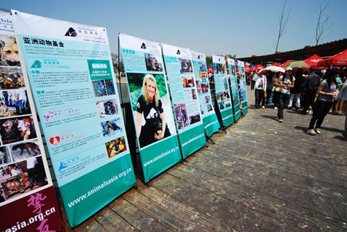 09年热波音乐节上亚洲动物基金会的知识展