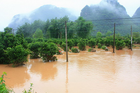 受强降雨影响,广西局部地区出现洪涝等次生灾害.新