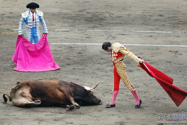 组图:人牛大战发生惨剧 斗牛士被牛角刺穿喉咙