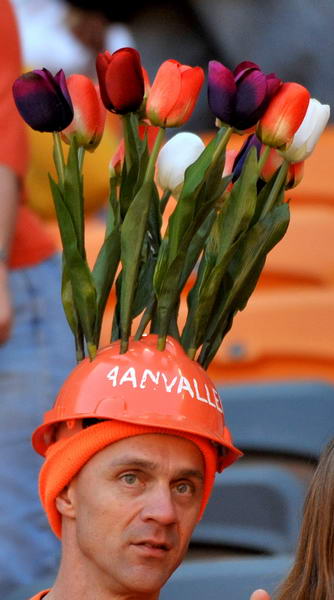 幻灯:荷兰丹麦球迷怪异着装工人帽头顶郁金香