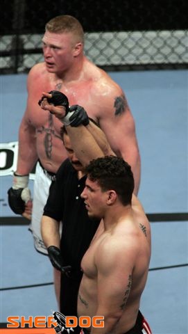 ͼ:ufc˹ɶ
