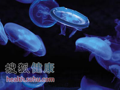 情趣套套使用体验哪种最a情趣?振动环情趣软件下载图片