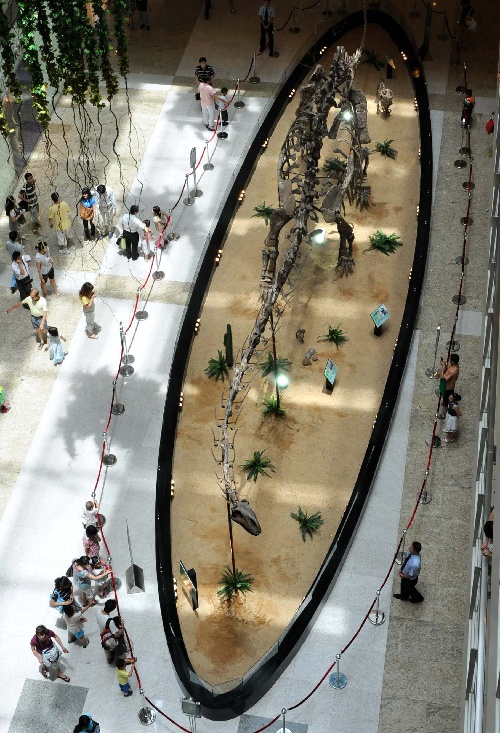 (科技)(2)北京自然博物馆恐龙化石到南京展出
