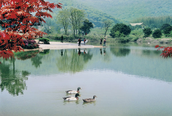 组图"太湖明珠"无锡美景 湖光山色碧水悠悠-搜狐体育