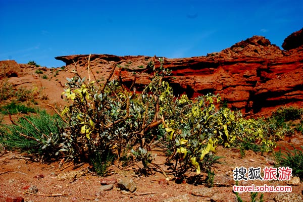 敖伦布拉格旅游攻略 梦幻峡谷大漠风光