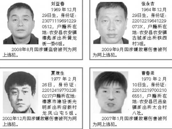 依照相关法律规定,长春市公安局对下列第二批20名网上逃犯(见下图)