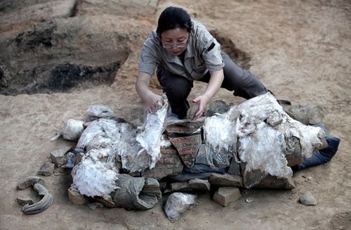 考古学家许卫红在发掘现场盖住了一个新发现的彩色兵马俑武士.