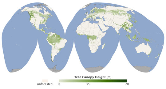 这是全世界幅观测全球森林分布状况的地图.