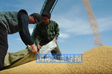 黑龙江97%大豆加工企业几近停产 国家补贴5月