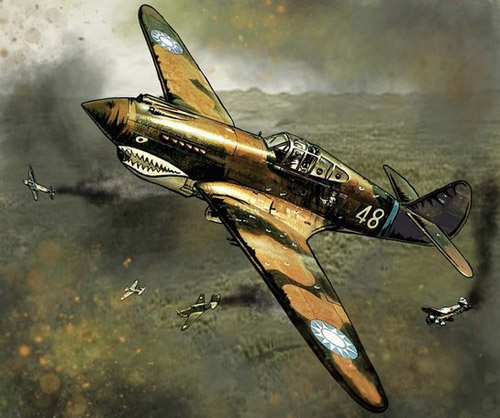 第一次知道"飞虎队",缘起于初中时,花费数天才完成的一架p40战斗机