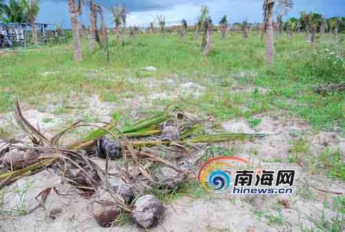 海南文昌有多少人口_海南文昌中学(2)