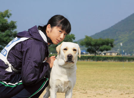 日本票房:《功夫梦》日本上映 首周票房近三亿