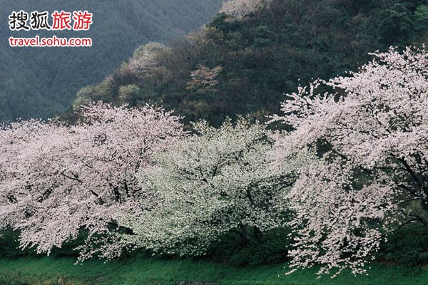 侨乡和顺旅游攻略 绝胜小苏杭的魅力名镇