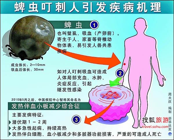 中秋无忧旅行 防治蜱虫完全手册