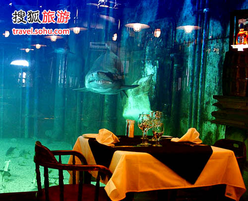 南非幽灵船餐厅 海底与鲨鱼共进美餐