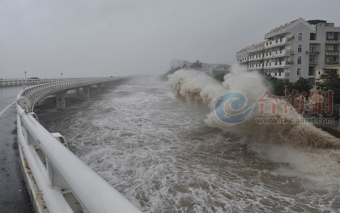 台风掀巨浪厦门海边民居差点被吞没(组图)