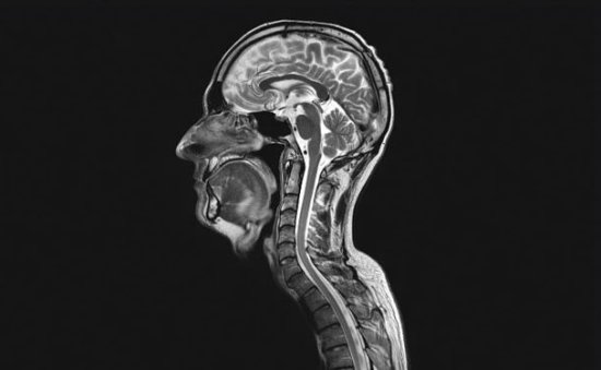 像这样的弥散张量成像图(呈现方式与以前的图像不同)可以揭示脑瘤如何影响神经细胞连接，引导医疗人员进行大脑手术。