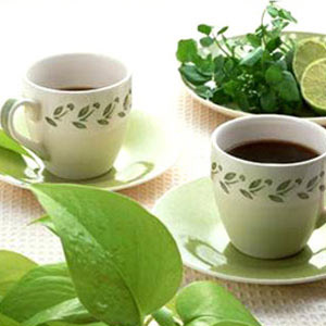 红茶VS绿茶 魔力减肥茶功效揭秘