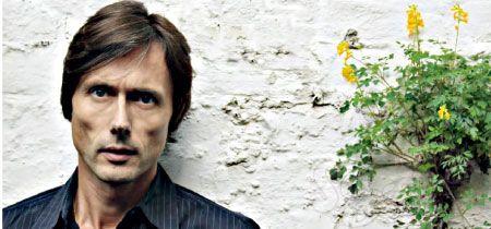 ѹ֮һӢײBrett Anderson