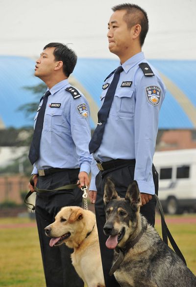 组图:功勋警犬参加亚运安保 全力训练身手矫健