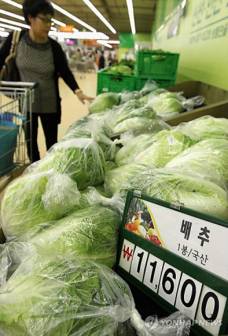 韩国白菜价格暴涨 称将引进5万棵中国白菜(图)