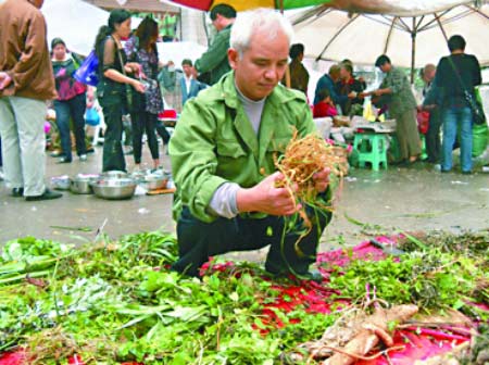 重庆采药师深山采药30年 赚钱少忧无人传承(图)