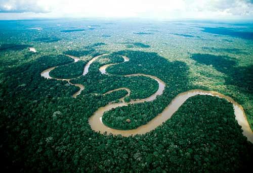 亚马逊热带雨林。（资料图）