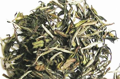 白茶排名_安吉白茶