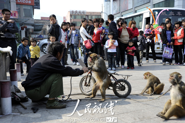 东阳市区有多少人口_阳江市区有多少人口(3)