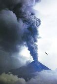 印尼8000米高火山灰肆虐 44架次航班被逼停(图)