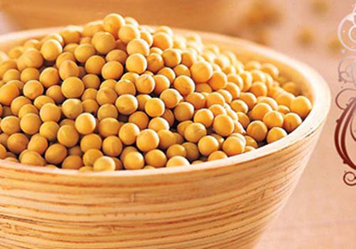大豆制品