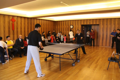 中国驻冰岛使馆与华侨华人举行乒乓球友谊赛