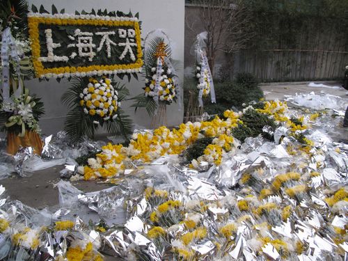 普通网友自己买上万朵菊花，送到胶州路发放。