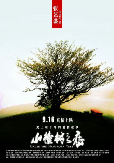 《山楂树之恋》海报