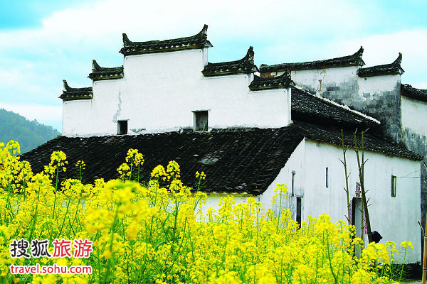 最美的乡村(组图)甘肃国泰旅行