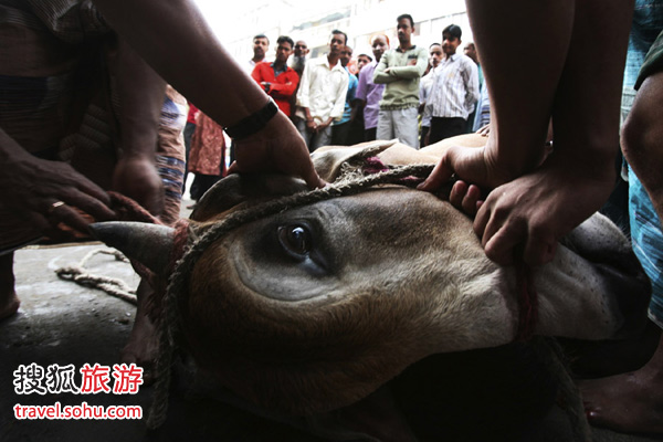 孟加拉国世界最长海岸线 血腥宰牲节视觉大冲