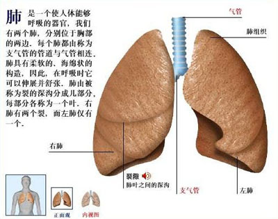 人体11个最易患癌部位最新排名