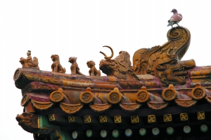 雍和宫的屋脊兽,一只鸽子立于螭吻之上.螭吻有镇火之意.
