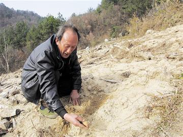 "偿债野人"李国楚:居深山十年还公债八万(图)