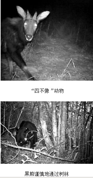 >>(组图)