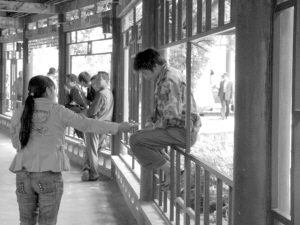 今年3月1日后,游客在昆明公园里的不文明行为将得到遏制.