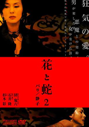 日媒称酒井法子将复出 出演情色大片《花与蛇》