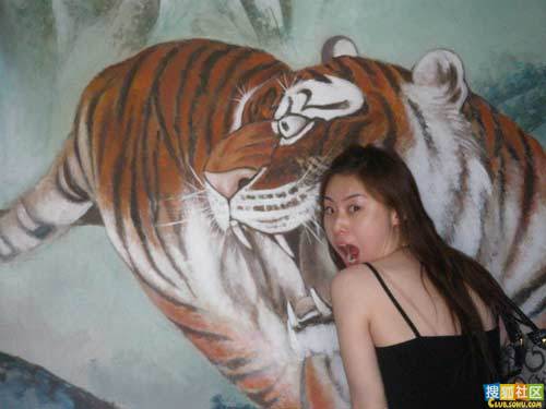 豹纹:WCBA美女组图性感写真教练惹眼a豹纹动糕美女吃的阿胶图片