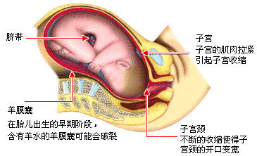 第一产程