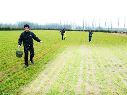 胶南街道人口_胶南隐珠街道地图(3)