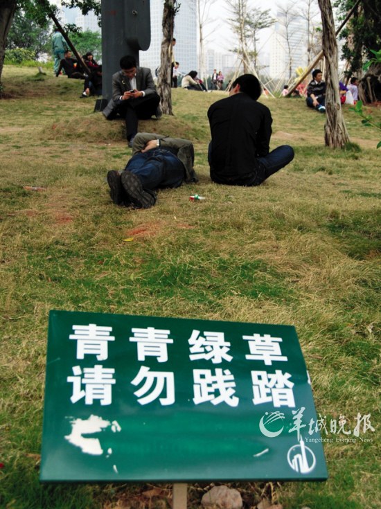 草坪受损市民李先生报料称; 请勿践踏标志; 市民"攻陷"宏城广场草坪